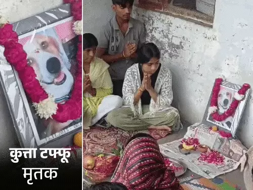 टफ्फू की मौत से टूट गया परिवार, तीन दिन घर में नहीं बना खाना; इंसानों की तरह की तेरहवीं, हवन के बाद बांटा प्रसाद