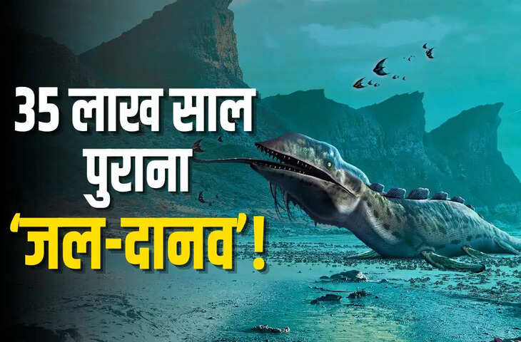 35 लाख साल पुराना &lsquo;जल-दानव&rsquo; मिला! जापान में मिलीं 3 हड्डियों ने खोला प्राचीन समुद्री जीवों का रहस्य