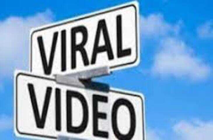 Viral News: सोशल मीडिया पर वायरल हुआ खौफनाक हादसे का वीडियो, देखकर सहम गए लोग
