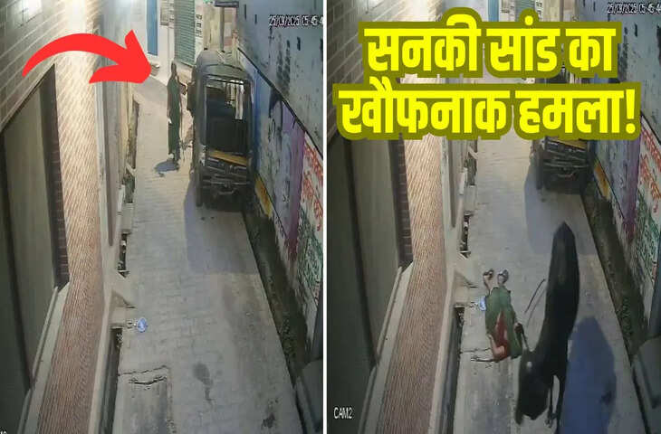सनकी सांड का खौफनाक हमला, महिला को हवा में कई फीट उछाला; CCTV फुटेज हुआ वायरल