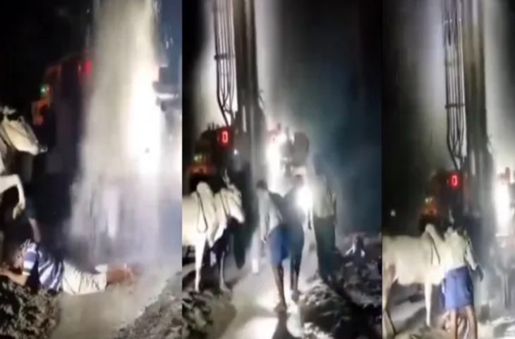 बोरिंग करवाने पर भी नहीं आया पानी, गौ माता के पैर पड़ते ही हुआ चमत्कार, देखें Video