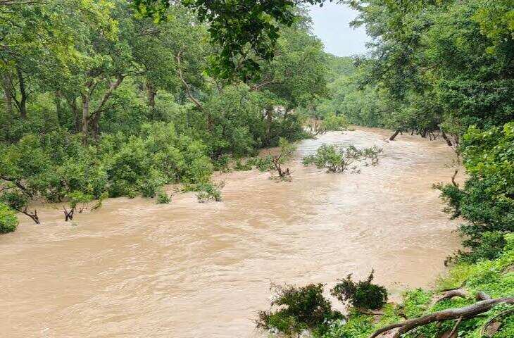 Chitrakoot में Mandakini River उफान पर! VIDEO में दिखा बाढ़ का मंजर