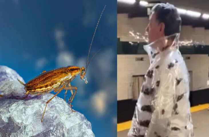 न्यूयॉर्क मेट्रो में शख्स की &lsquo;कॉकरोच जैकेट&rsquo; वायरल, देखकर लोग रह गए हैरान