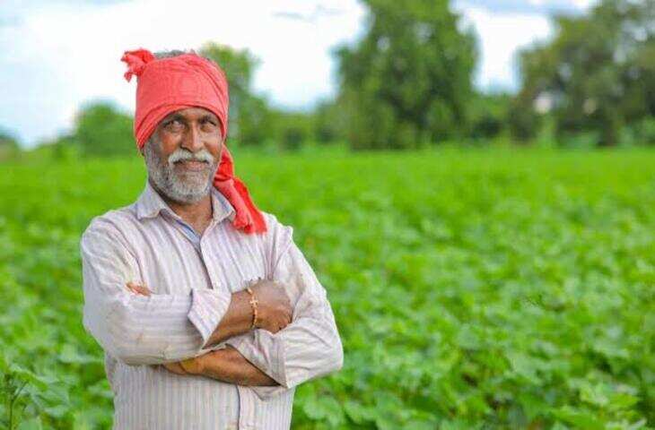 खेती के लिए सबसे ज्यादा सब्सिडी कौन-सी योजना देती है? जानें किसानों के लिए सरकार की सबसे बड़ी योजनाएं