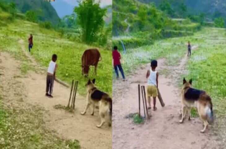 बच्चों के क्रिकेट मैच में अचानक डोगेश भाई की एंट्री, कभी फील्डिंग तो कभी विकेटकीपिंग करते दिखे, VIDEO देखकर नहीं रुकेगी हंसी​​​​​​​