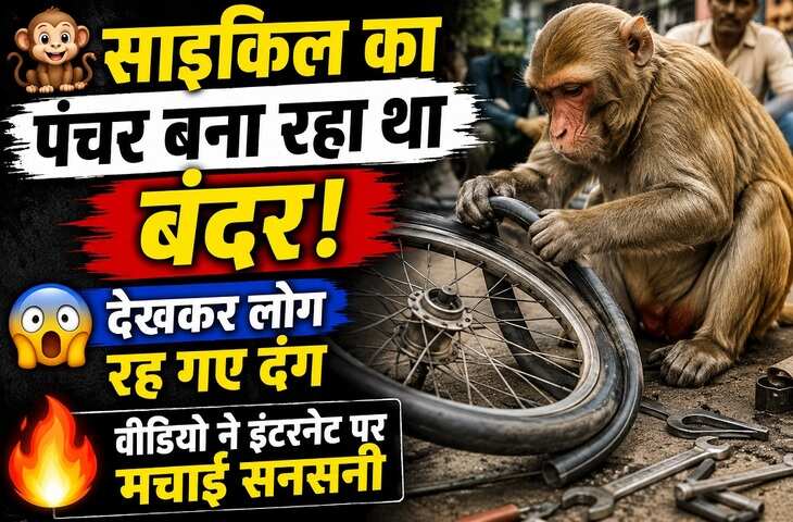 साइकिल पंचर बनाते &lsquo;मोंकी मैकेनिक&rsquo; का VIDEO वायरल, यूजर्स बोले- &lsquo;रोजगार की चिंता इसे भी है&rsquo;