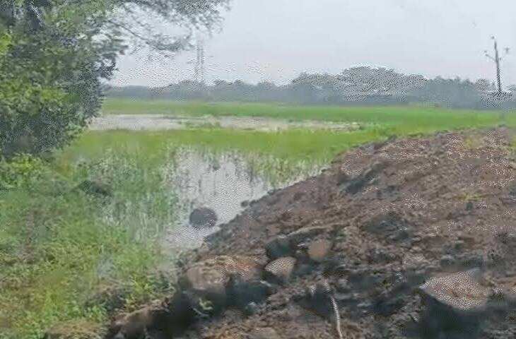 भोपाल के बड़े तालाब और कलियासोत डैम की हद तय, NGT में आज पेश होगी सर्वे रिपोर्ट; कई कब्जे मिले