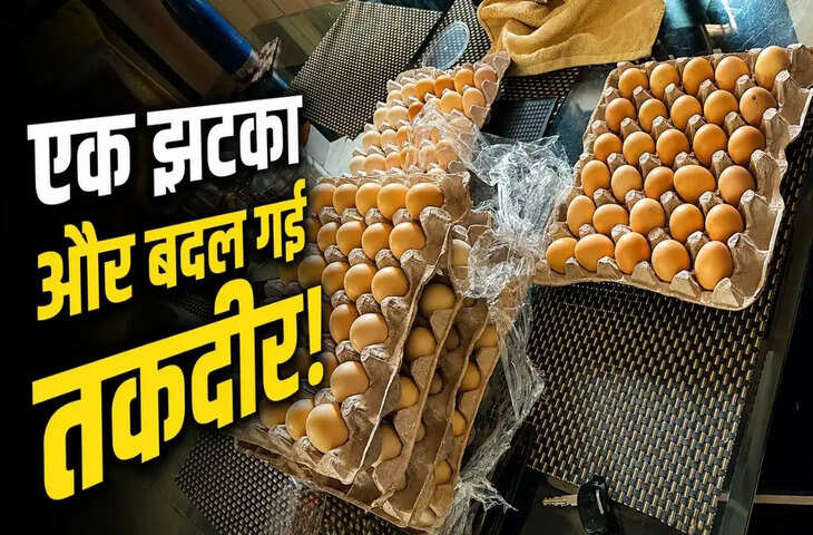 अमेजन ने निकाला तो शुरू किया पोल्ट्री फार्म, कॉर्पोरेट गर्ल की ऐसी छलांग कि दुनिया देख रह गई दंग!