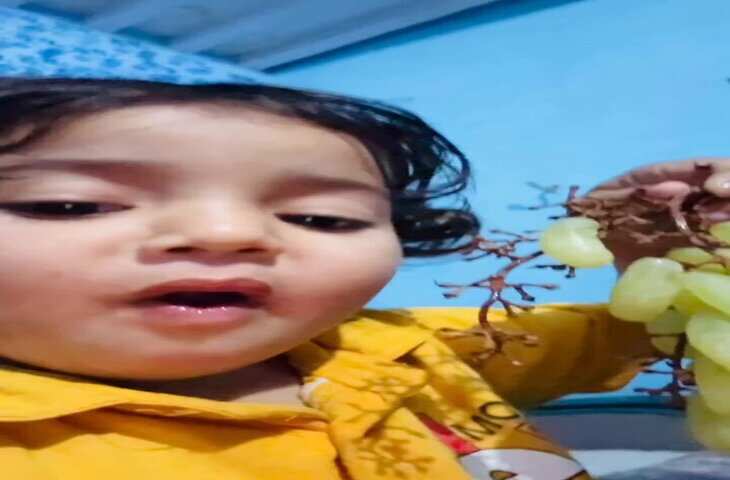 Viral Video :&nbsp;हेलो गाइज! मैं अंगूर खा रही हूं&hellip; क्यूट बच्ची का अंदाज देखकर इंटरनेट फिदा, क्यूटनेस पर आप भी हार बैठेंगे दिल&nbsp;