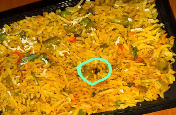 रीवा में वेज बिरयानी में निकला कीड़ा, फूड सेफ्टी विभाग की छापामार कार्रवाई