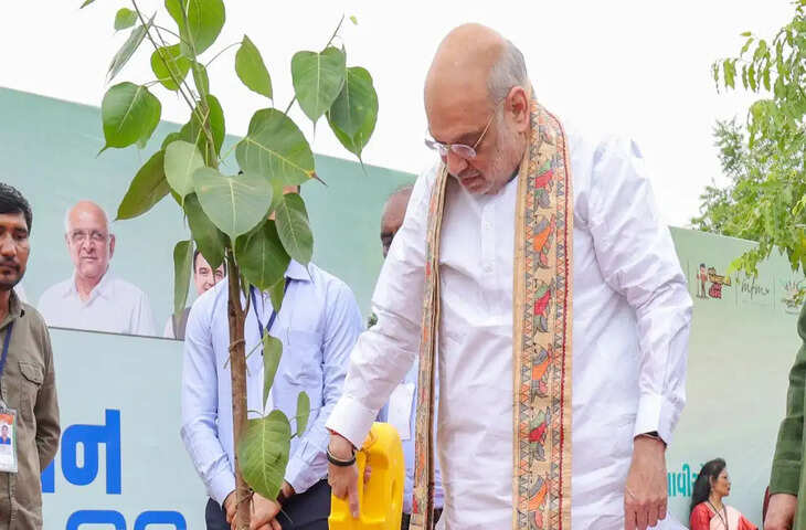 Ahmedabad Guinness World Record: अहमदाबाद ने बनाया वृक्षारोपण का रिकॉर्ड, एक घंटे में लगाए 3.61 लाख पौधे; जानिए क्या है मियावाकी तकनीक