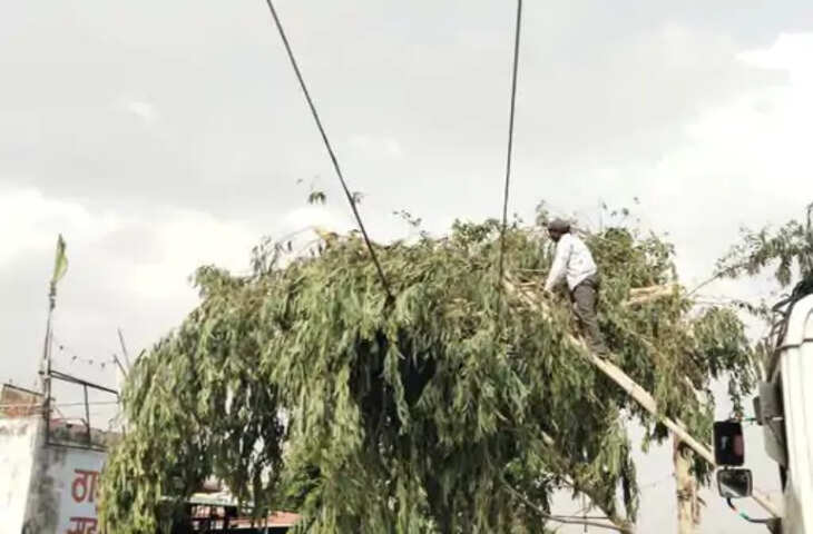 Udaipur बेमौसम बारिश और अंधेरे का कहर : 30 जगहों पर गिरे खंभे और पेड़, घंटों बंद रही बिजली आपूर्ति