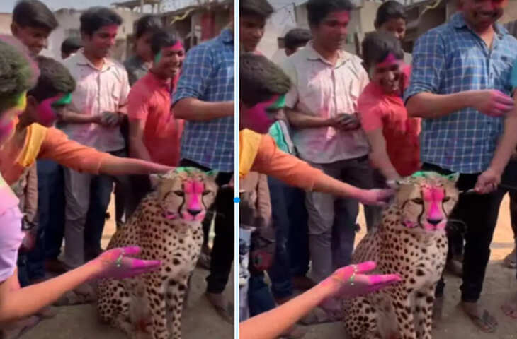 लोगों को&nbsp;चीते के साथ होली मनाते देख सोशल मीडिया यूजर्स के उड़े होश,&nbsp;वीडियो देख बोले &ndash; असली है या AI?&rdquo;