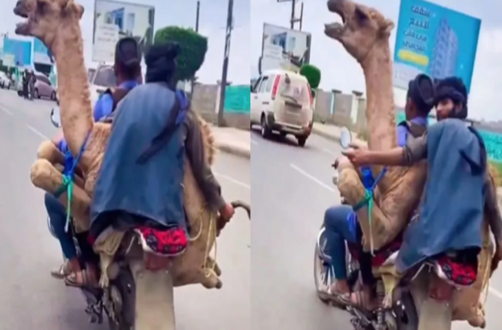 अब ऊंट भी करने लगे बाइक की सवारी, वीडियो देख रह जाएंगे हैरान