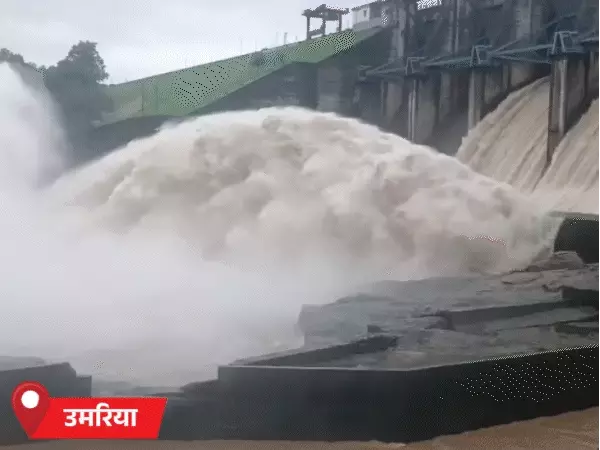 MP में बारिश का स्ट्रॉन्ग सिस्टम एक्टिव, 16 जिलों में भारी बारिश का अलर्ट; सिवनी-बालाघाट में ऑरेंज अलर्ट