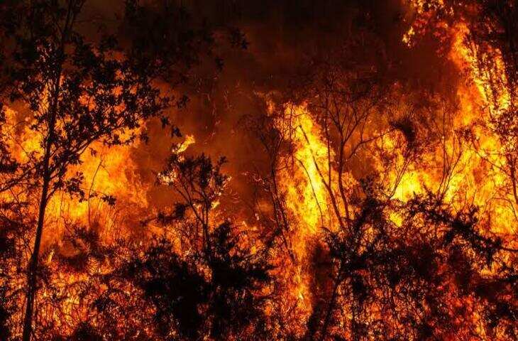 स्पोकेन काउंटी में भड़की विनाशकारी जंगल की आग, घर छोड़ने को मजबूर हुए हजारों लोग, सामने आये भयावह वीडियो&nbsp;