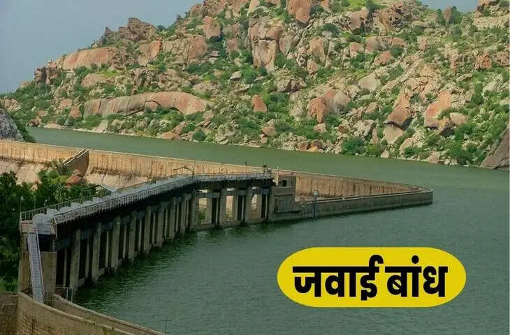 राजस्थान के सबसे बड़े बांधों में से एक जवाई बांध करीब 4900000 लाख लोगों की लाइफ लाइन हैं, राजस्थान में सबसे म'''शहूर लूनी नदी की सहायक नदी जवाई पर बना जवाई बांध अपने आस-पास के शहरों के लिए वन रक्षक के रूप में काम करता है। इसके साथ ही ये बांध अपनी अद्भुत प्राकृतिक सुंदरता और वन्य जन जीवन के लिए विश्व भर में भी काफी प्रसिद्ध है। पर्यटक यहां दुनिया के अलग-अलग हिस्सों से आये प्रवासी पक्षियों को निहारने का आनंद भी उठा सकते हैं। तो आईये आज हम आपको लेकर चलें देश के सबसे सुंदर बांधों में से एक जवाई बांध के वर्चुअल टूर पर     यह बांध भारत के राजस्थान राज्य के पाली जिले के सुमेरपुर शहर के पास स्थित इस बांध का निर्माण जोधपुर के महाराजा उम्मेद सिंह ने करवाया था । जवाई बांध राजस्थान के पाली, राजसमंद और उदयपुर जिलों में अरावली पहाड़ियों के सबसे ऊबड़-खाबड़ और जंगली हिस्से में स्थित है। जवाई नदी पर बांध बनाने का विचार 1903 में आया था क्योंकि मानसून के दौरान इसकी बाढ़ के पानी ने पाली और जालोर जिले में भारी नुकसान पहुंचाया था । इसे अंततः 1946 में आकार दिया गया। इस परियोजना का उद्देश्य नदी पर बांध बनाकर जलाशय बनाना था, जिसका उपयोग जल सिंचाई और जल विद्युत उत्पादन के लिए किया जा सके। इस बांध का निर्माण कार्य 12 मई 1946 को शुरू हुआ था, जो साल 1957 में बनकर तैयार हुआ। इस बाँध के निर्माण की शुरुवात अंग्रेज़ इंजीनियर एडगर और फ़र्गुसन के निर्देशन में हुई थी, हालाँकि आजदी के इस बांध का निर्माण मोतीसिंह की देखरेख में पूर्ण हुआ।  यह पश्चिमी राजस्थान का सबसे बड़ा मानव निर्मित बांध है, जो करीब 13 स्कवायर किलोमीटर के क्षेत्र को कवर करता है। 7887.5 मिलियन क्यूबिक फीट की क्षमता के साथ ये बांध 102,315 एकड़ भूमि पर सिंचाई की जरूरतों को पूरा करता है। करीब 61.25 फीट की ऊंचाई के साथ जंवाई बांध लगभग 720 वर्ग किलोमीटर का जलग्रहण क्षेत्र बनाता है। लगभग 500 वर्ग किमी के क्षेत्र में फैले इस बांध की जल आपूर्ति को पूरा करने के लिए इस पर सेई और कालीबोर फीडर बांध भी बनाये गए हैं।   आप अक्टूबर से मार्च के बीच कभी भी बांध घूमने जा सकते हैं। इस दौरान यहां का मौसम सुखद होने के साथ आरामदेह भी रहता है। लेकिन अगर आप अपनी यात्रा का पूरा मजा लेना चाहते हैं तो आपको ठंड यानि सर्दियों के मौसम में पाली की यात्रा करना चाहिए। क्योंकि इस मौसम में आप बांध के पास कई तरह के प्रवासी पक्षियों को भी देख सकते हैं। इसके अलावा यह मौसम शहर के अन्य पर्यटन स्थलों की यात्रा करने के लिए भी अच्छा समय है।  जवाई बांध पश्चिमी राजस्थान के सबसे बड़े जलाशयों में से एक है और यह प्रवासी एवं गैर-प्रवासी पक्षियों की एक प्रभावशाली श्रृंखला को आकर्षित करने के लिए प्रसिद्ध है, जिसमें खुले आर्द्रभूमि की विशिष्ट और प्रतिष्ठित प्रजाति, सारस क्रेन शामिल हैं। अन्य प्रजातियों में नॉब-बिल्ड डक और इंडियन स्पॉट-बिल्ड डक और सर्दियों के दौरान डेमोइसेल क्रेन, कॉमन ईस्टर्न क्रेन और बार-हेडेड गूज शामिल हैं। यह जीवों की एक बड़ी विविधता का भी घर है, जिनमें से कुछ अत्यधिक लुप्तप्राय प्रजातियाँ हैं। आसपास की पहाड़ियों में देखे जाने वाले और कभी-कभी बांध का पानी पीते हुए, वन्यजीवों में भेड़िया, तेंदुआ, सुस्त भालू, लकड़बग्घा, सियार, जंगली बिल्ली, सांभर हिरण, नीलगाय या नीला बैल, चैसिंह, चिंकारा और खरगोश शामिल हैं, और बांध के किनारे मगरमच्छ धूप सेंकते हैं। यह तेंदुआ देखने तथा विशिष्ट वन्यजीवन और पक्षी देखने के अनुभव के लिए एक असाधारण क्षेत्र है।   आप सड़क, हवाई और रेल मार्ग से जवाई बांध आसानी से पहुंच सकते हैं , ट्रैन से यहां पहुंचने के लिए सबसे करीबी रेलवे स्टेशन पाली मारवाड़ रेलवे स्टेशन हैं जो यहां से करीब 120 किलोमीटर की सूरी पर स्थित है। हवाई मार्ग से यहां पहुंचने के लिए सबसे निकटतम हवाई अड्डा जोधपुर में लगभग 72 किलोमीटर की दूरी पर स्थित है। बस या सड़क मार्ग से यहां पहुंचने के लिए सबसे करीबी बस अड्डा पाली बस स्टेशन है, जो यहां से लगभग 115 किलोमीटर की दुरी पर स्थित है।