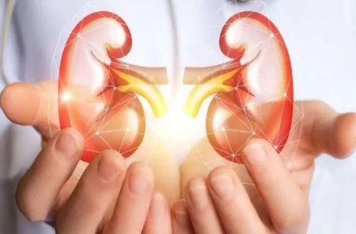 Kidney Disease Warning: 'थकान, सूजन या यूरिन में बदलाव....' अगर दिखें ये लक्षण, तुरंत करें डॉक्टर से संपर्क