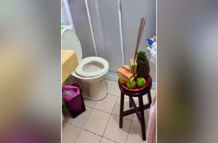 चीन से जुड़ी कथित &lsquo;टॉयलेट पूजा&rsquo; परंपरा का दावा वायरल, सोशल मीडिया पर छिड़ी बहस