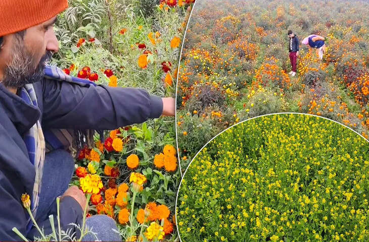 करनाल में दोस्त की सलाह ने बदल दी जिंदगी, अब फूल की खेती से कर रहे 4 गुना कमाई