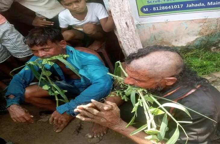 ओड़िशा में मानवता शर्मसार! गौ तस्करी के शक में दो दलित युवकों का आधा मुंडन कर चरवाई घास, वायरल वीडियो में इन्टरनेट पर बढ़ाई सनसनी&nbsp;