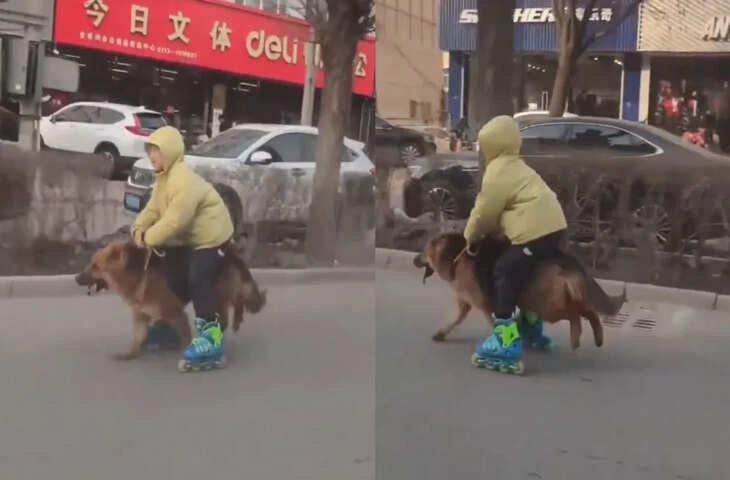  गजब की सवारी&hellip;कुत्ते को घोड़े की तरह दौड़ाता दिखा बच्चा, वीडियो हुआ वायरल