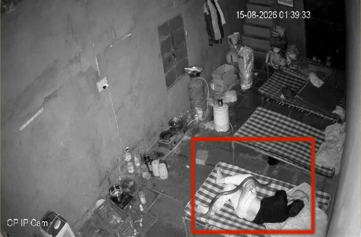 खुले में सोना पड़ा भारी! शख्स के ऊपर चढ़ गया विशाल कोबरा, Video देखकर कांप उठेंगे