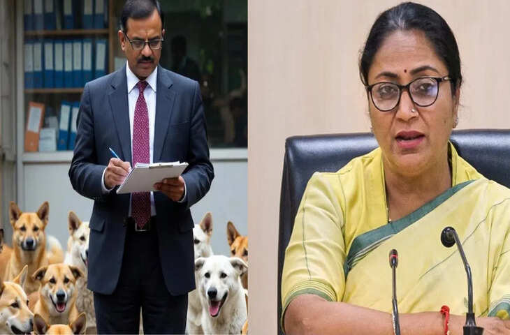 आवारा कुत्तों की गिनती में शिक्षकों की तैनाती को नकारा, दिल्ली सरकार ने कहा- ऐसा कोई आदेश नहीं किया जारी