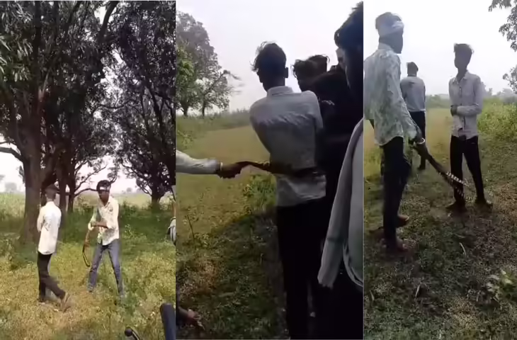 पेड़ काटने के विवाद ने लिया हिंसक रूप: युवक को पेड़ से बांधकर बेरहमी से पीटा, वीडियो वायरल