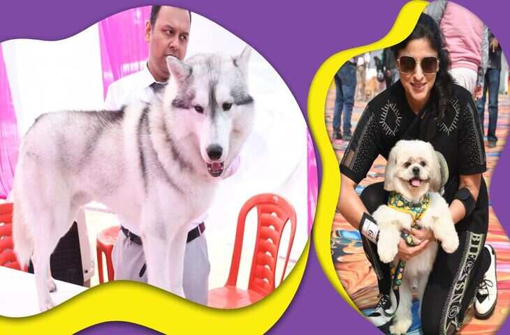 जयपुर में होगा अनोखा डॉग शो, डॉग्स के लिए वैनिटी वैन, मॉडल्स के साथ करेंगे रैम्पवॉक