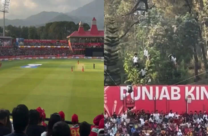 सोशल मीडिया पर छाया मजेदार वीडियो, लोगों ने कहा- &ldquo;ऐसा सीन पहली बार देखा!