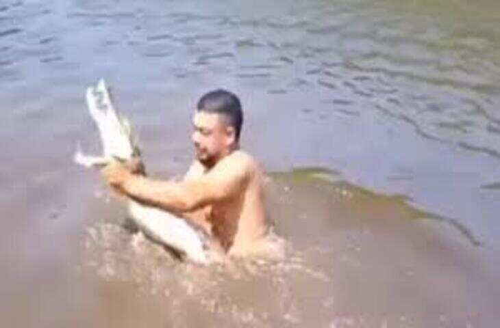 नदी में हैरान कर देने वाला नजारा: मगरमच्छ को सहलाती दिनदी में हैरान कर देने वाला नजारा: मगरमच्छ को सहलाती दिखी बच्ची, इंटरनेट पर वायरल वीडियोखी बच्ची, इंटरनेट पर वायरल वीडियो