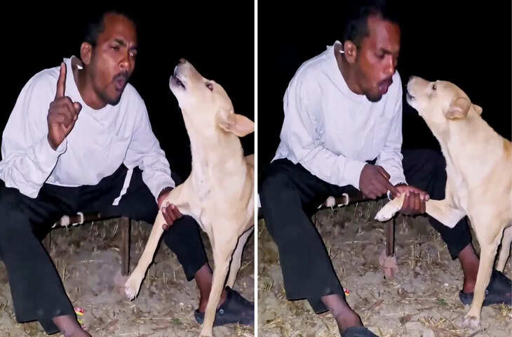 Viral Clip: शख्स की डॉगी स्टाइल में की गई कन्फेशन ने उड़ाए होश, इंटरनेट पर मचा बवाल