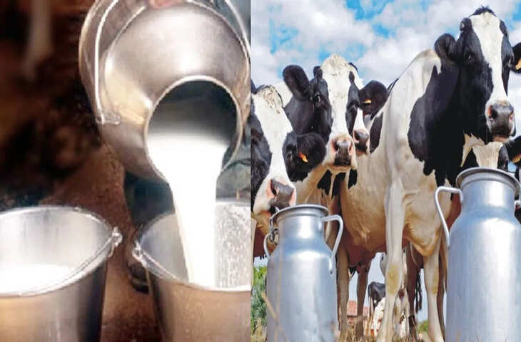 बुन्देलखंड में दूध क्रांति: डेयरी वैल्यू चेन बनाकर आत्मनिर्भर हो रहीं हजारों महिलाएं