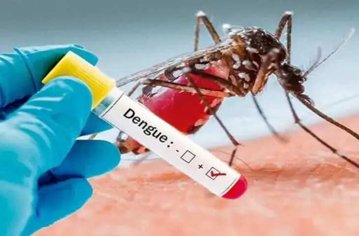 देश के पहले स्वदेशी डेंगू टीके की तैयारी तेज, ICMR करेगा डेंगू वायरस की स्ट्रेन मैपिंग
