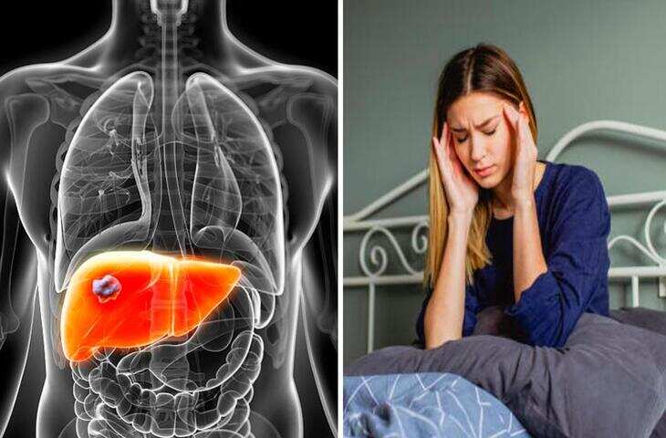 घर बैठे पहचानें फैटी लिवर की चेतावनी: भारत में 38% लोग इस बीमारी से हैं प्रभावित, जानें मुख्य संकेत​​​​​​​