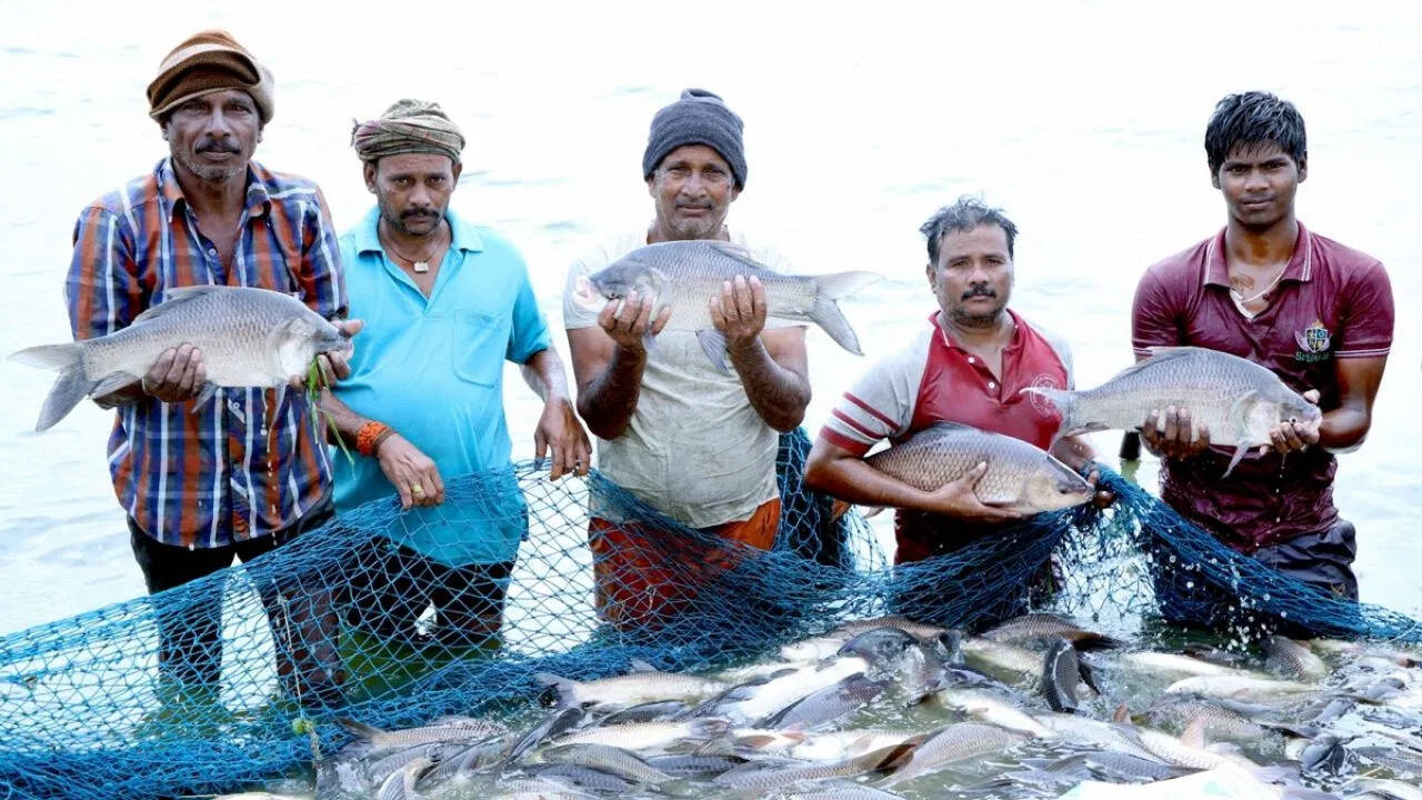 कम लागत में शुरू करें मछली पालन का बिजनेस, सरकार दे रही सब्सिडी और आर्थिक मदद; जानें पूरी जानकारी