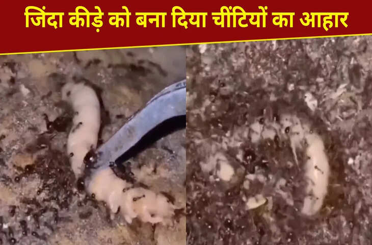 ‘नर्क सेम ऐसा ही होता है…’, ये VIDEO देख सिहर उठेंगे आप, यकीन न हो तो देख लें