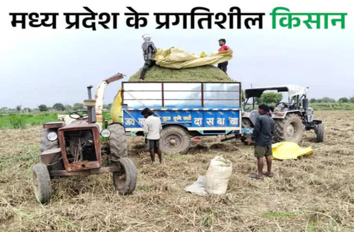 क्रिकेट के मैदान से खेती तक: 24 साल के नेशनल क्रिकेटर शिवम शर्मा ने पेश की नई मिसाल, युवाओं के लिए बने प्रेरणा