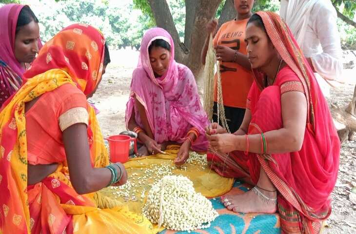 गांव में रहकर भी महिलाएं कमा सकती हैं हजारों रुपये, घर से शुरू होने वाले ये 4 बिजनेस बदल सकते हैं जिंदगी