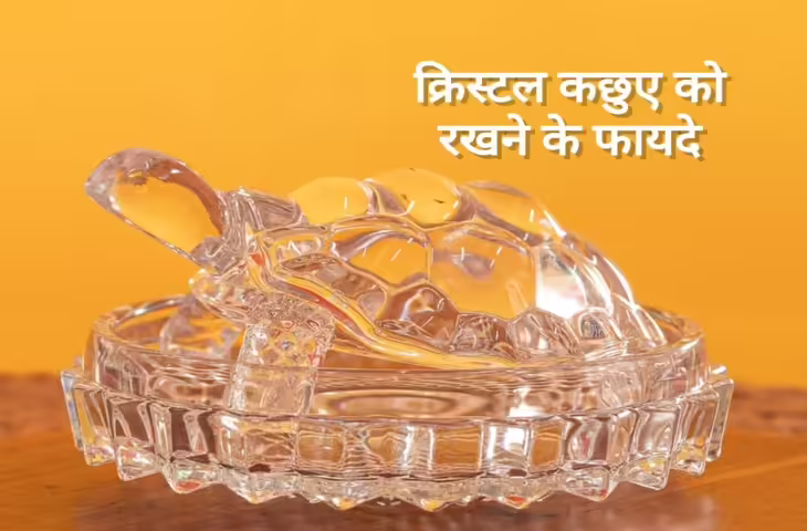 क्रिस्टल कछुआ रखने के फायदे: घर में लाता है सुख-समृद्धि और सकारात्मक ऊर्जा