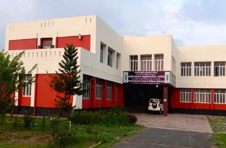 मखाना अनुसंधान को दी नई पहचान: 23 वर्षों से किसानों के जीवन में बदलाव ला रहा यह विशिष्ट केंद्र