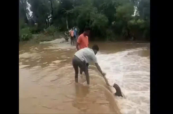 कुत्ते को डूबता देख फरिश्ता बना शख्स! गमछा फेंककर ऐसे किया Rescue, Video देखकर करेंगे सलाम