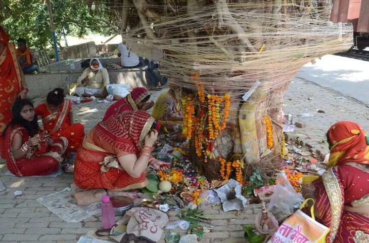 Vat Saptami 2026: कल रखा जाएगा वट सप्तमी व्रत, जानें शुभ मुहूर्त, पूजा विधि और वट वृक्ष का धार्मिक महत्व