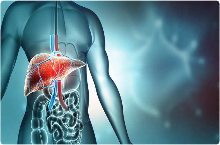 Liver Health Alert: Fatty Liver वाले लोगों के लिए खतरनाक हो सकती हैं ये आम-सी हेल्दी चीजें, हो सकता है लीवर फेल 