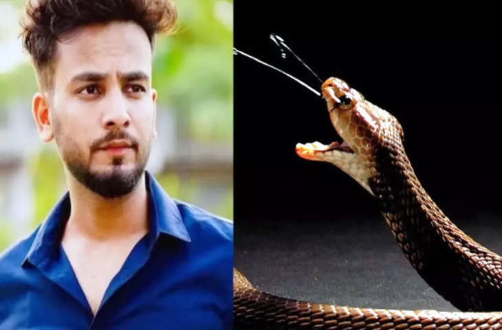 Snake Venom तस्करी मामले में क्या Elvish Yadav को मिला पॉलिटिकल सपोर्ट ? ‘राव साहब’ ने किया खुलासा