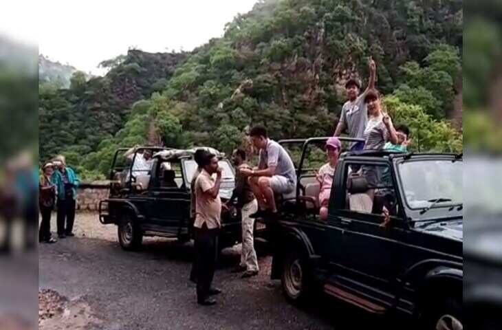 कुछ मिनटों की इस वायरल डॉक्यूमेंट्री में जाने सरिस्का घूमने का बेस्ट टाइम और सीक्रेट लोकेशंस जो हर पर्यटक को जरूर देखने चाहिए