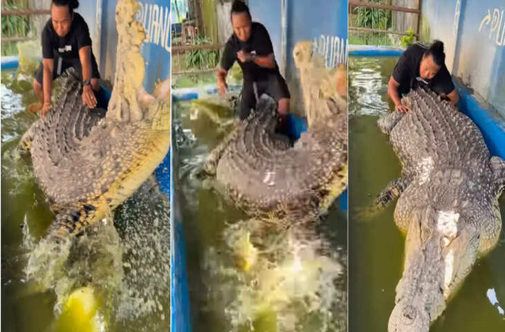 मगरमच्छ के ऊपर बैठना चाह रहा था शख्स, 'समंदर के सिकंदर' ने दिखाया ऐसा रूप देखकर दंग रह जाएंगे
