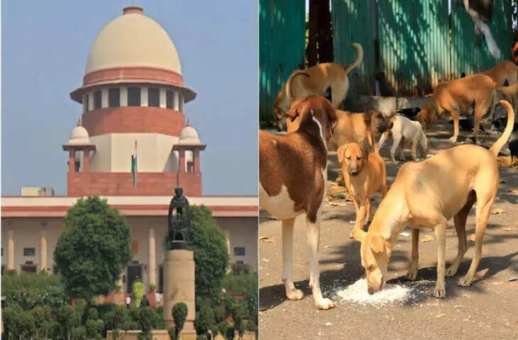 आवारा कुत्तों के मामले में SC का कड़ा रुख, सिब्बल से कहा- हम वीडियो चलाकर पूछेंगे मानवता क्या है?