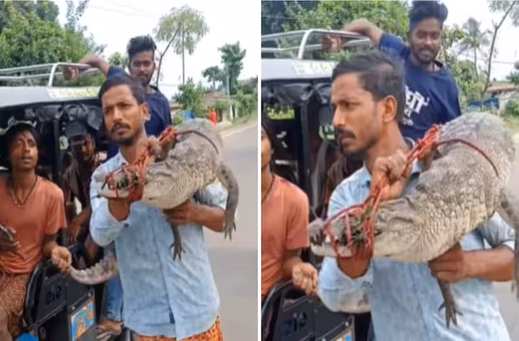 VIDEO Viral: खतरनाक मगरमच्छ को कंधे पर लादकर ले गया युवक, बेफिक्री देखकर फटी रह गई यूजर्स की आँखें
